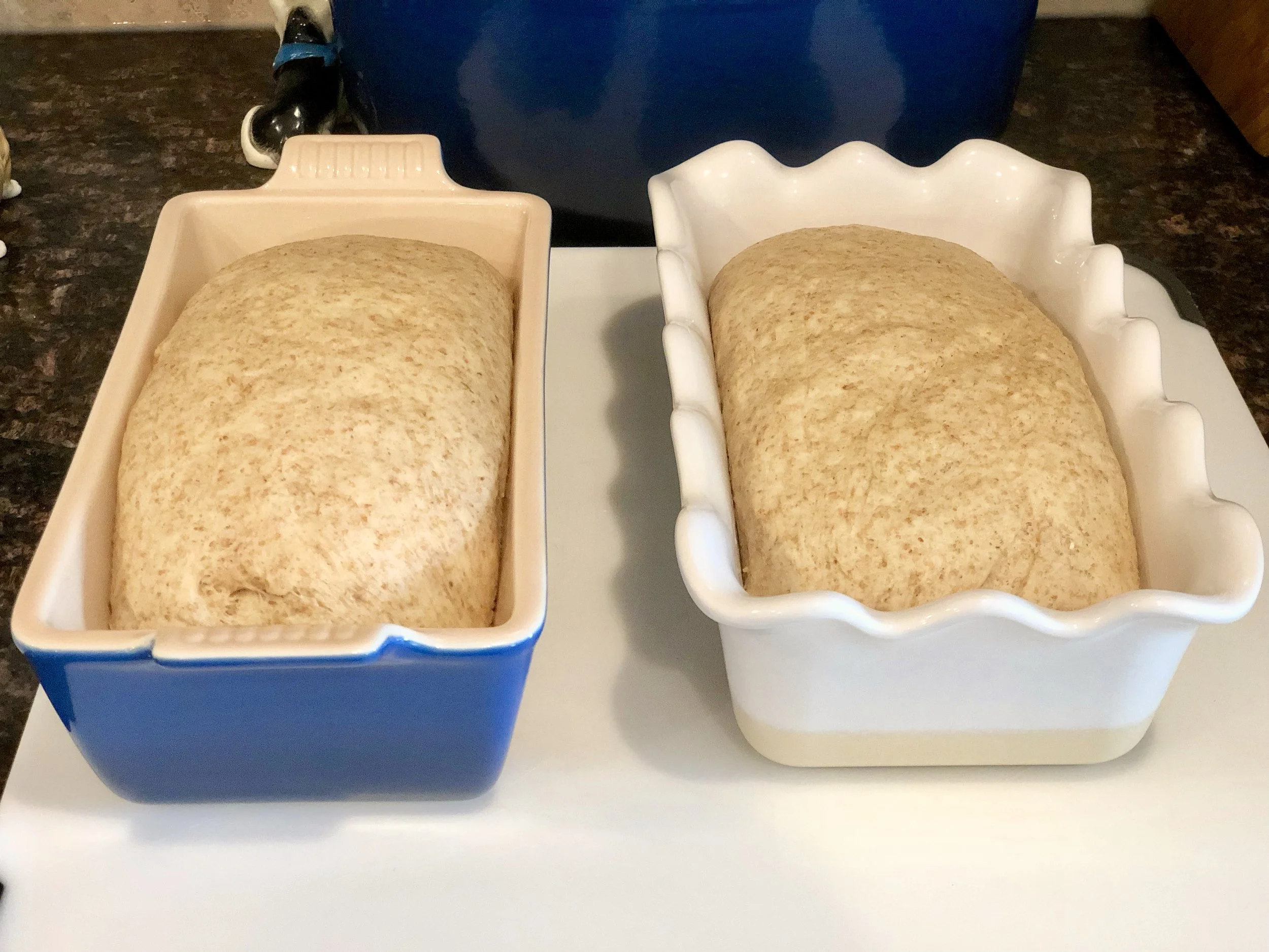 unbakedwholewheatbread.jpeg
