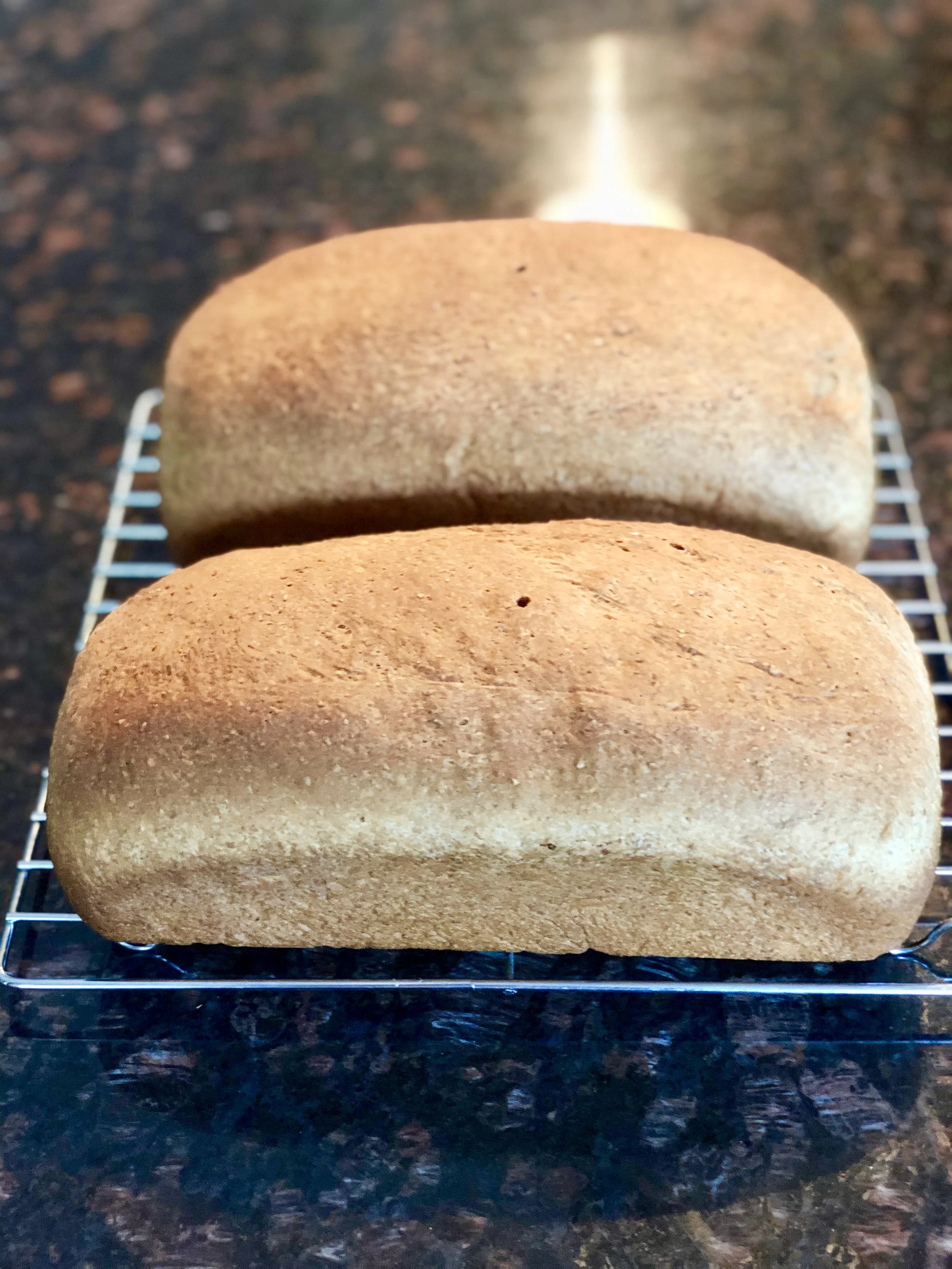 wholewheatbread.jpeg