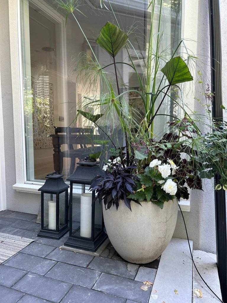 Black and white foliage front door Lindhal.jpeg