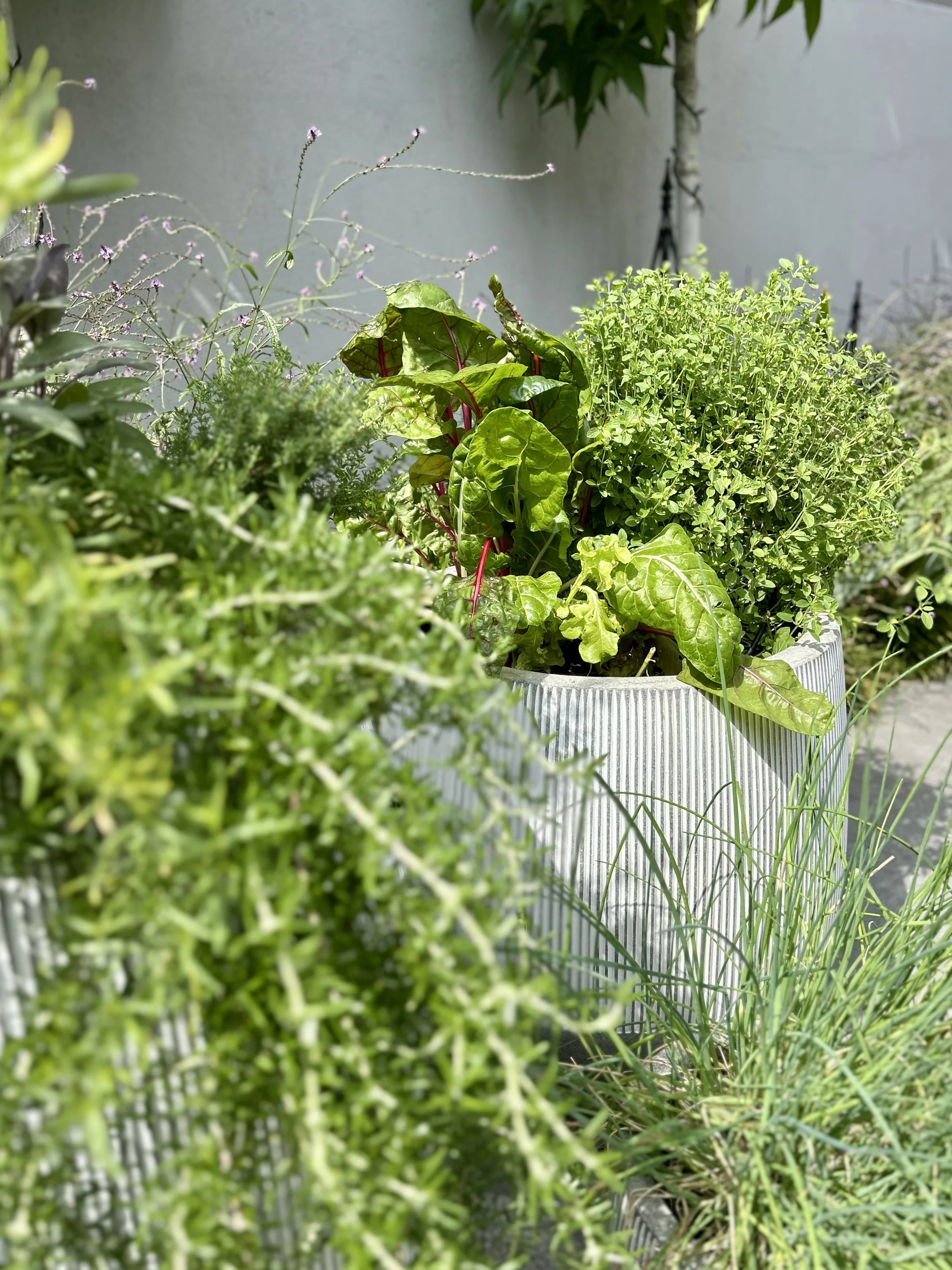 Herb PLanter close up 03.jpeg