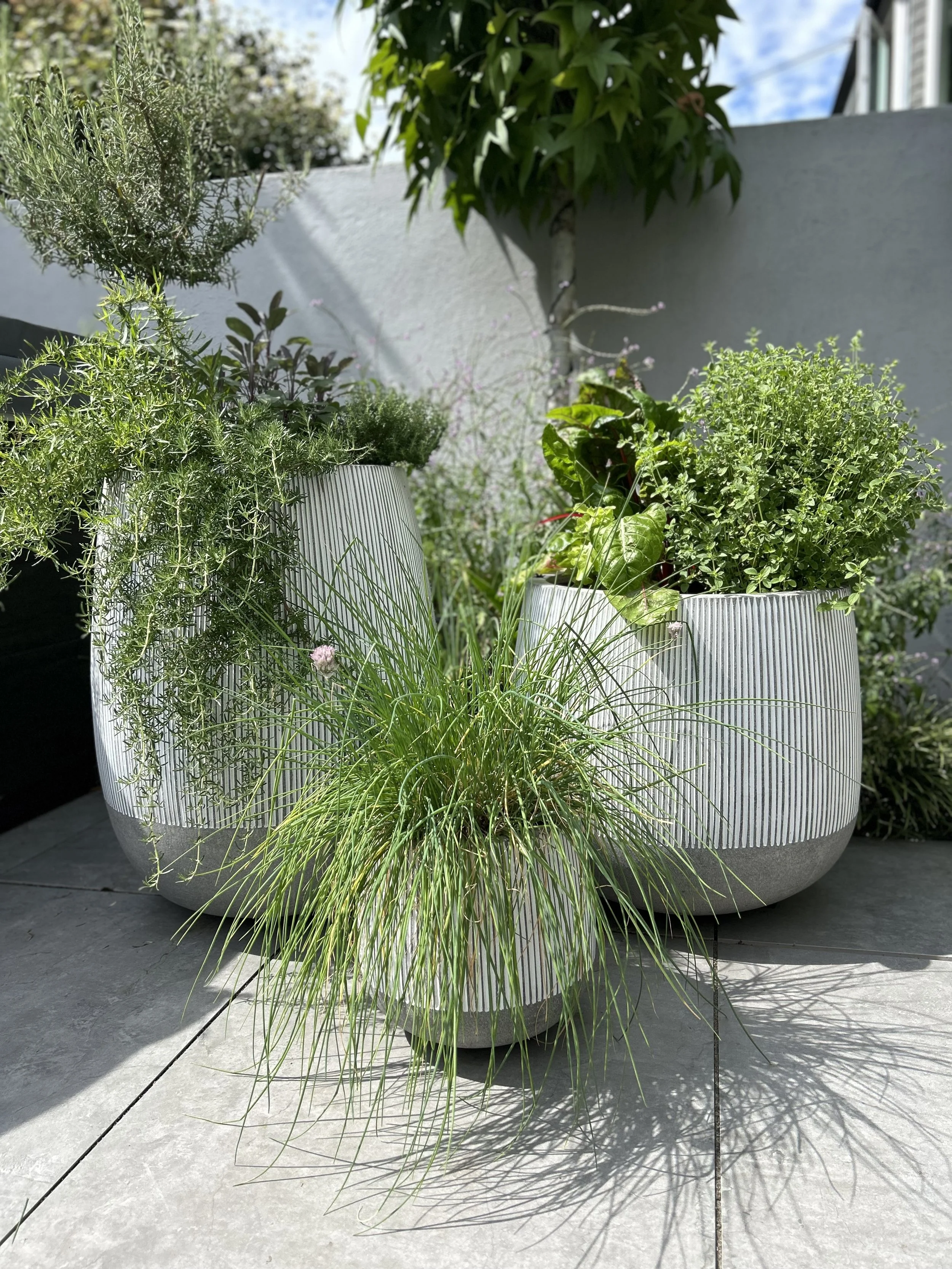 Herb planters 01.jpeg