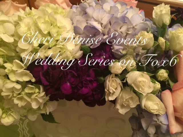 Fox 6 Wedding Series Announcement.JPG