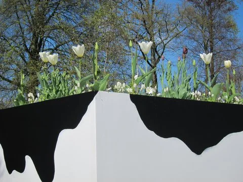 "Keukenhoff Gardens, The Netherlands"