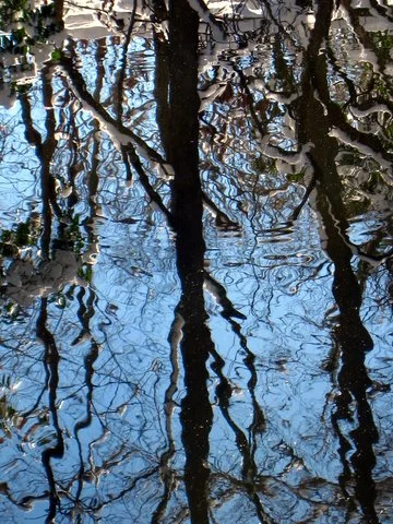 "Another View of Wintry Reflections"