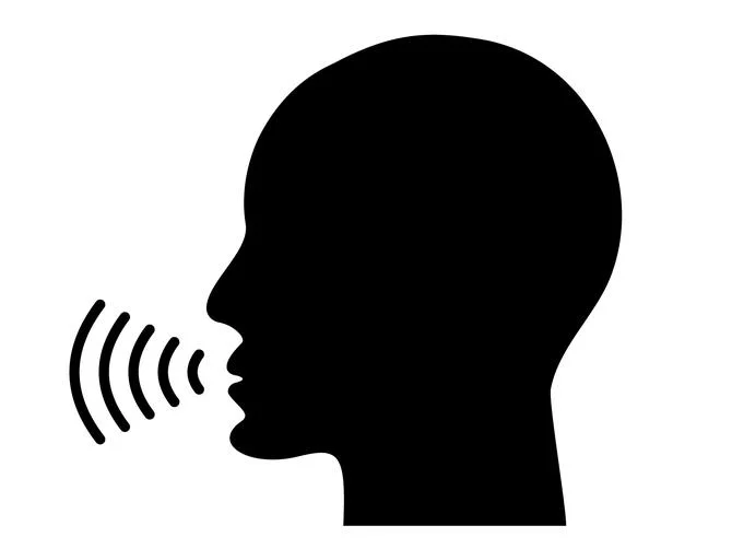 voice_4.jpg