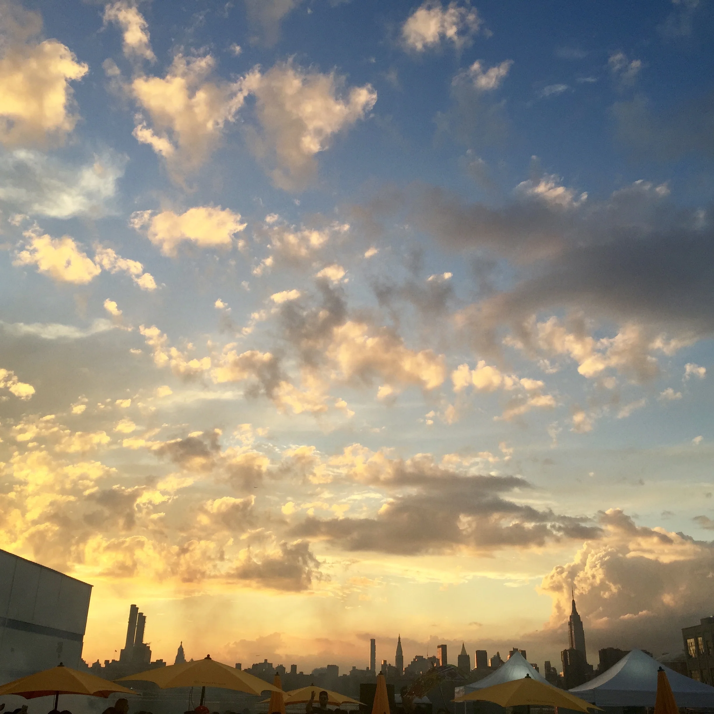  View from Williamsburg, Brooklyn, August 2015 