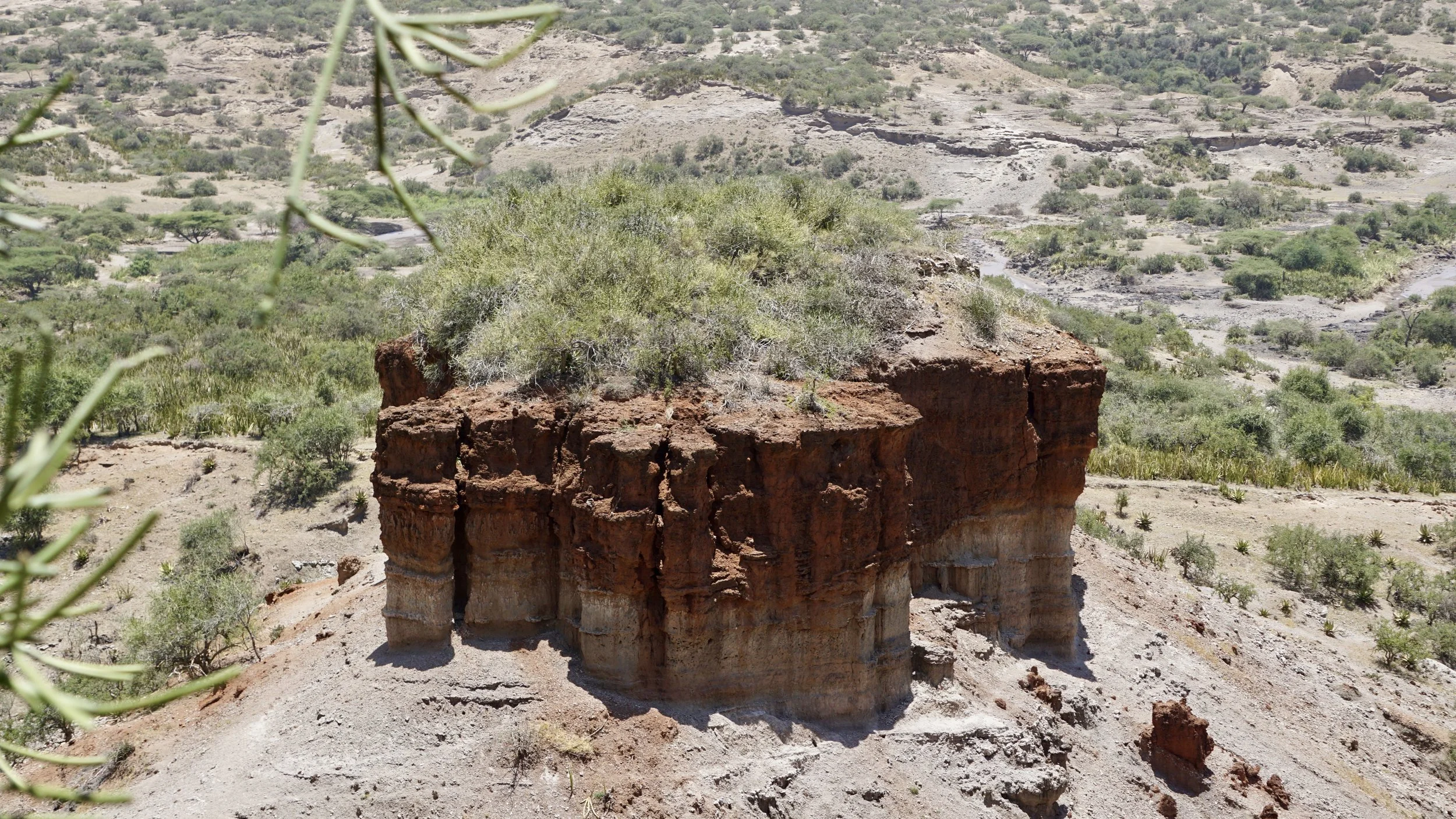  Excavation site at Oldupai Gorge 