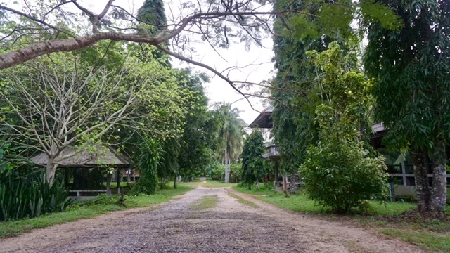  The view from the road down into the grounds; the main dining hall directly left off camera 