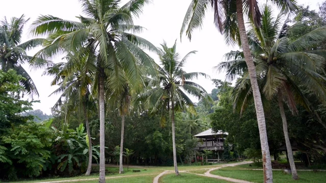  Looking back towards the bell tower, Hall 3 and the road up to the dining hall up to the right. 