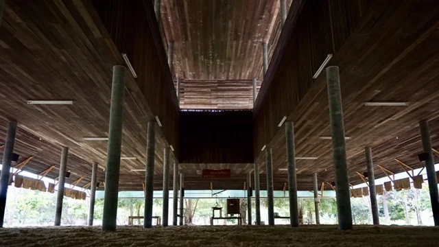  A view from the back of Meditation Hall 5. 