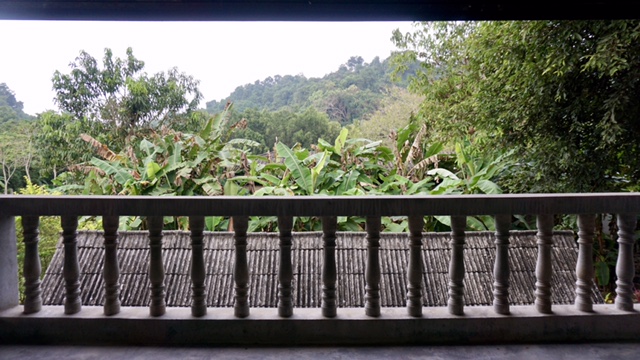  The view from the second floor of my dorm 