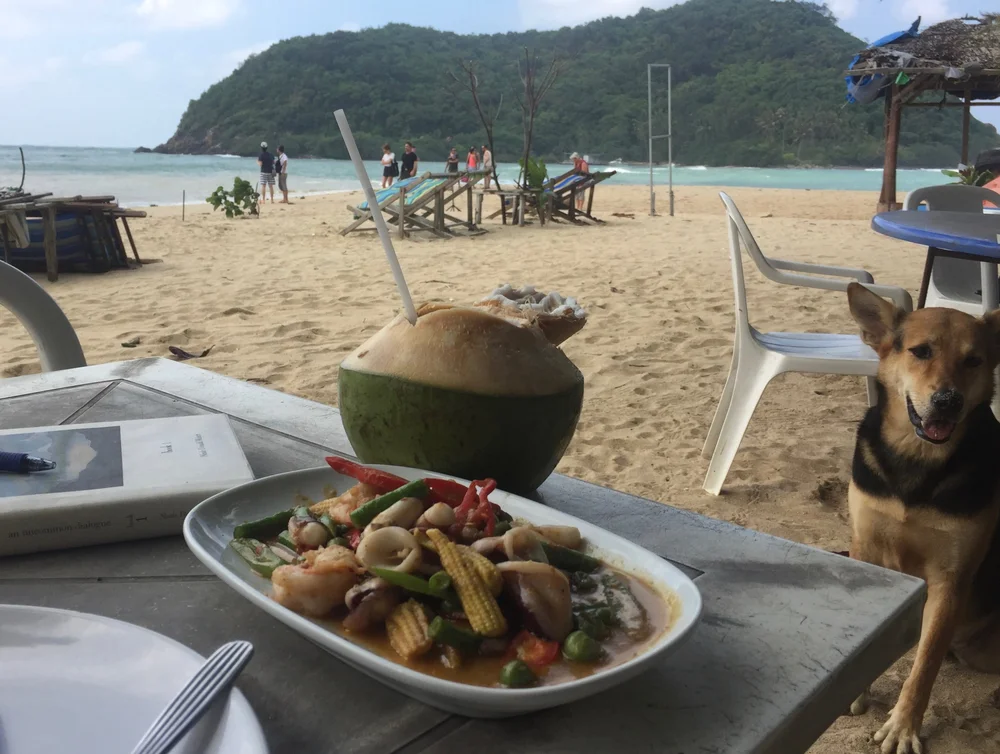 ... relaxing beachside at Mae Haad for out first curry and coconut of many to come