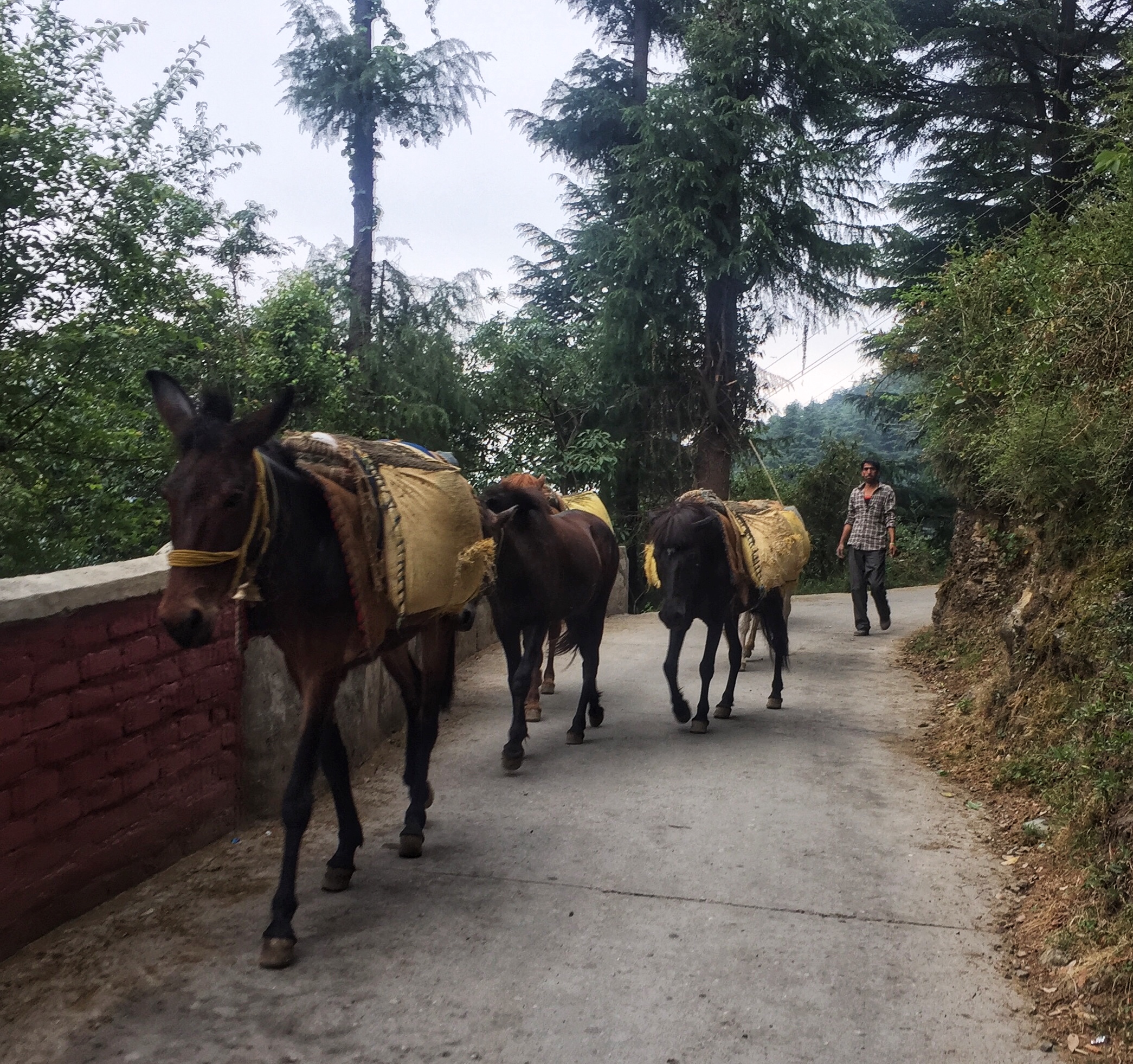  Same same, just less 