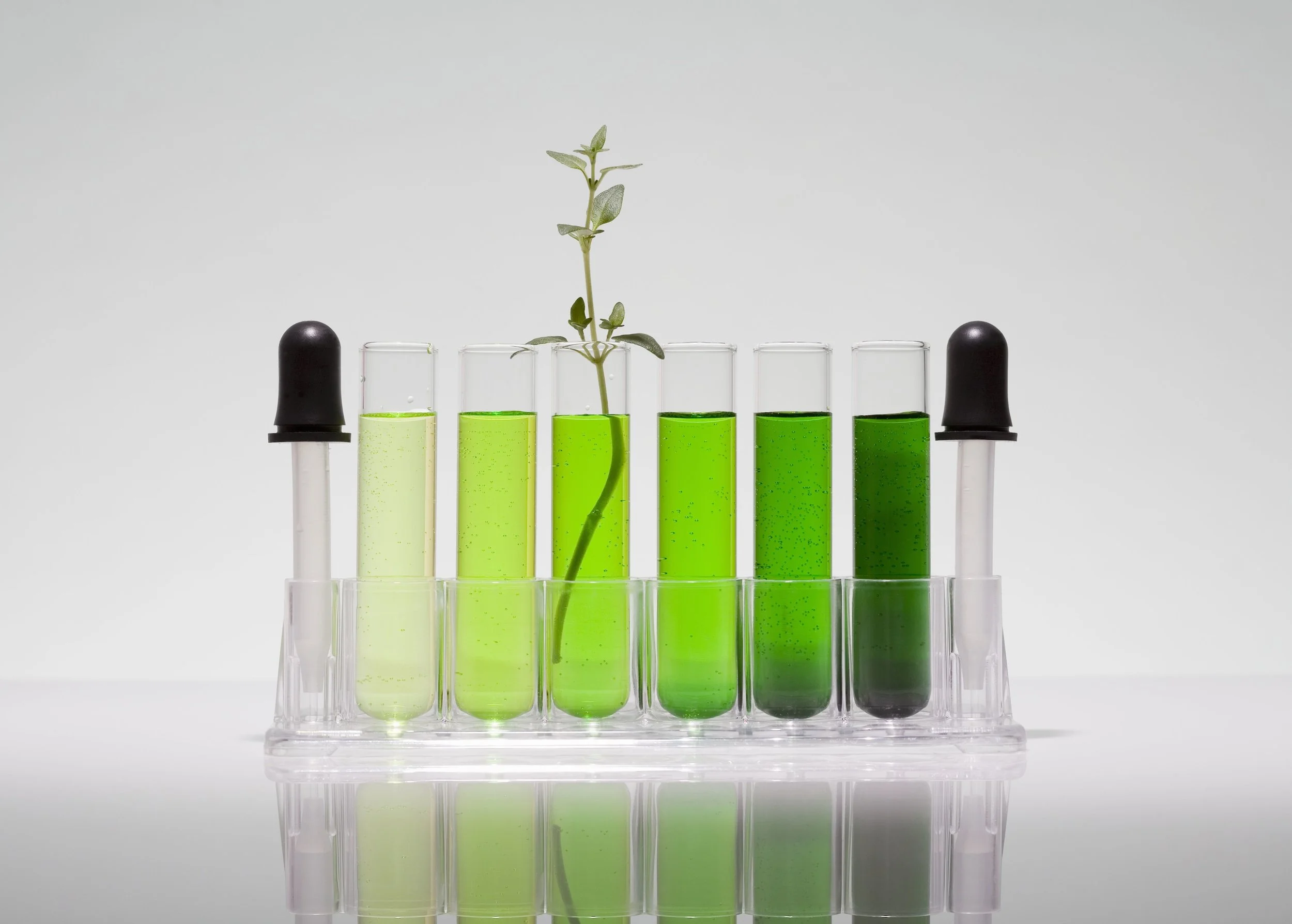      

 
   Sustainability in general has become increasingly significant in almost every industry.  Many organizations from a variety of industries have been utilizing renewable and biodegradable methods and materials, which minimise harm to the env