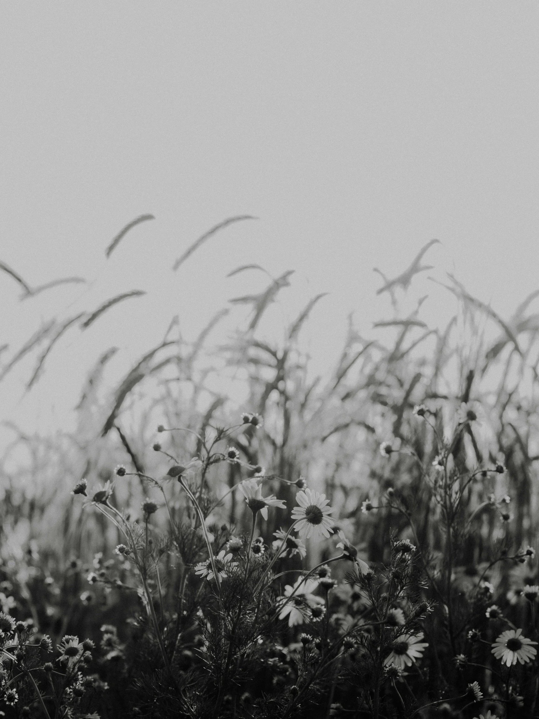 unsplash-image-xqjeHcWkvnk.jpg