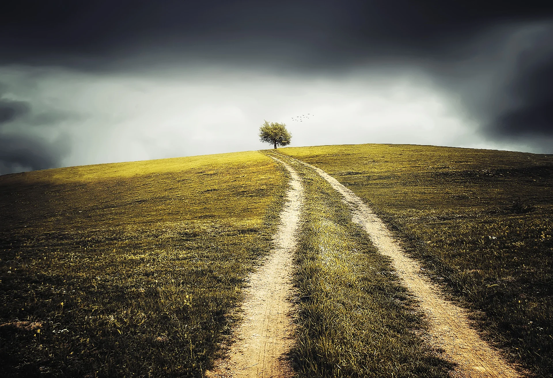 An Evening of Mediumship - Marysville, WA