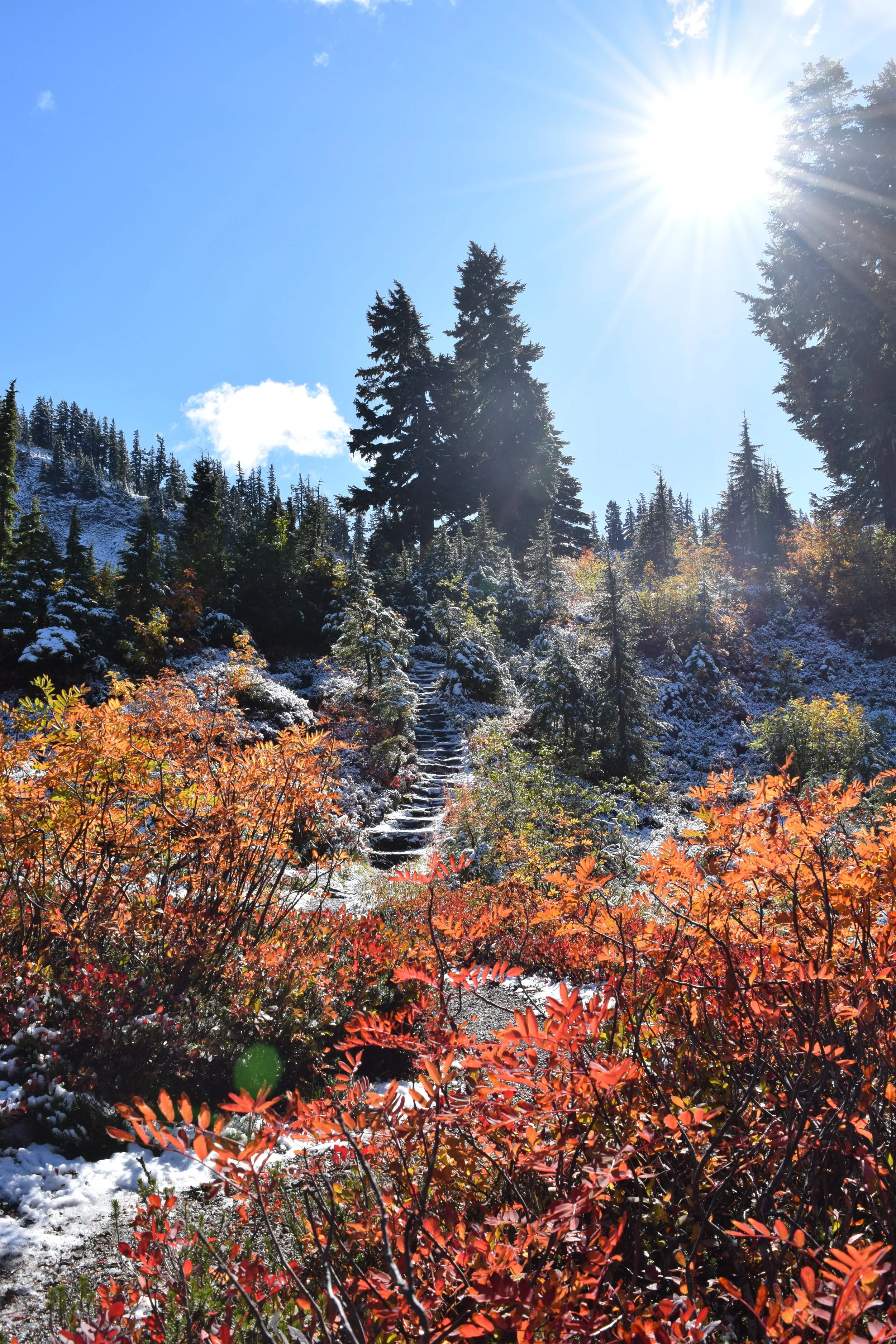 The Astral Plain and Why Mediumship is the "Extra-Mile" for the Spirit World