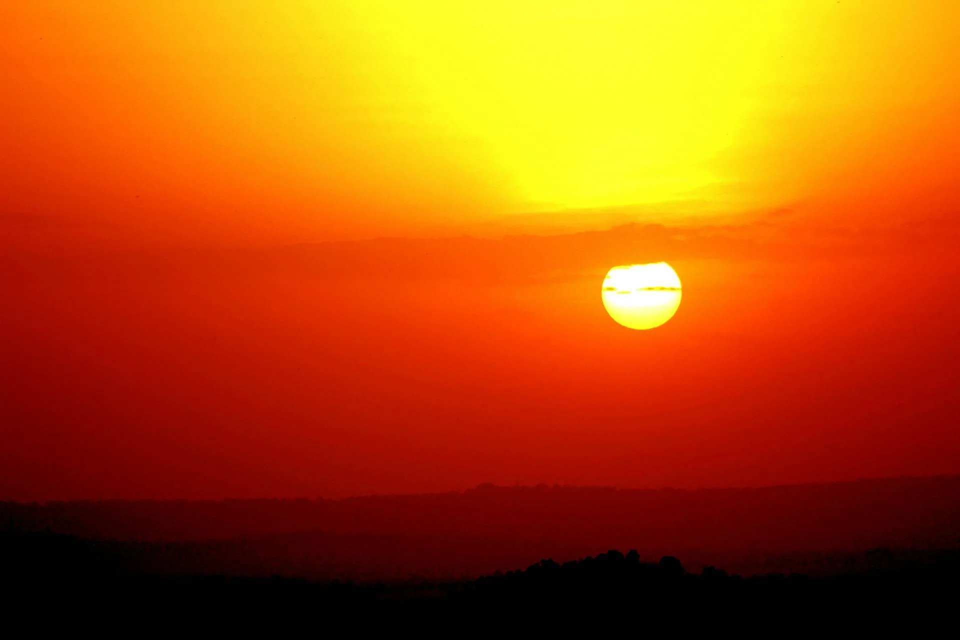 Banner 9.jpg