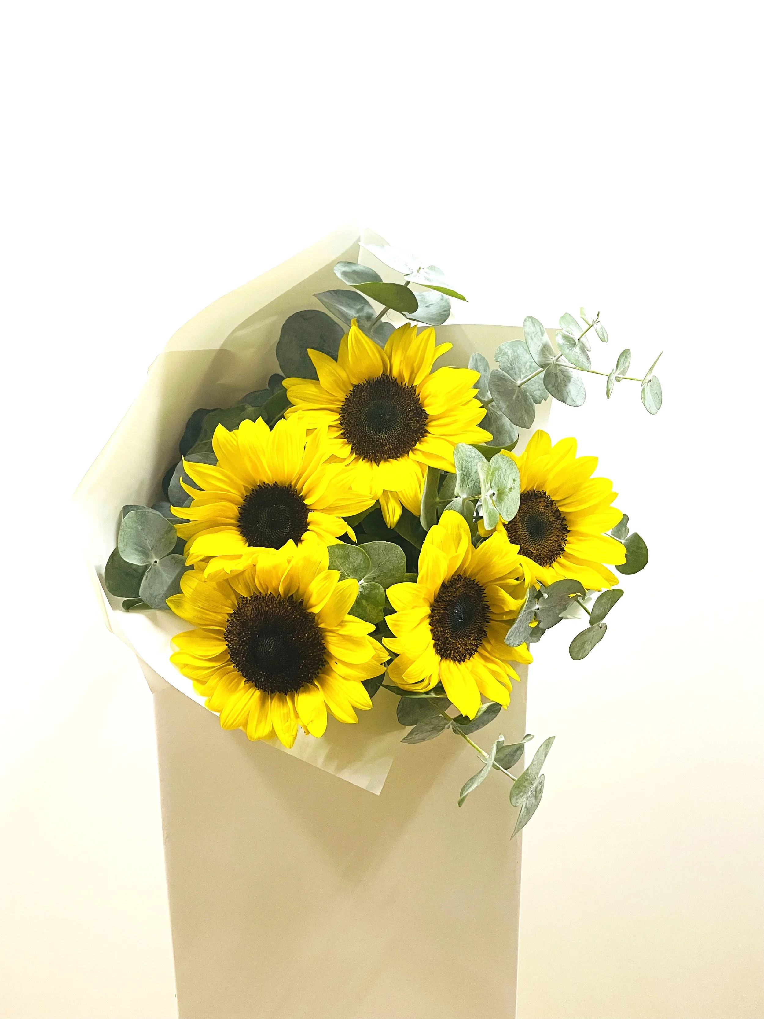 You Are My Sunshine