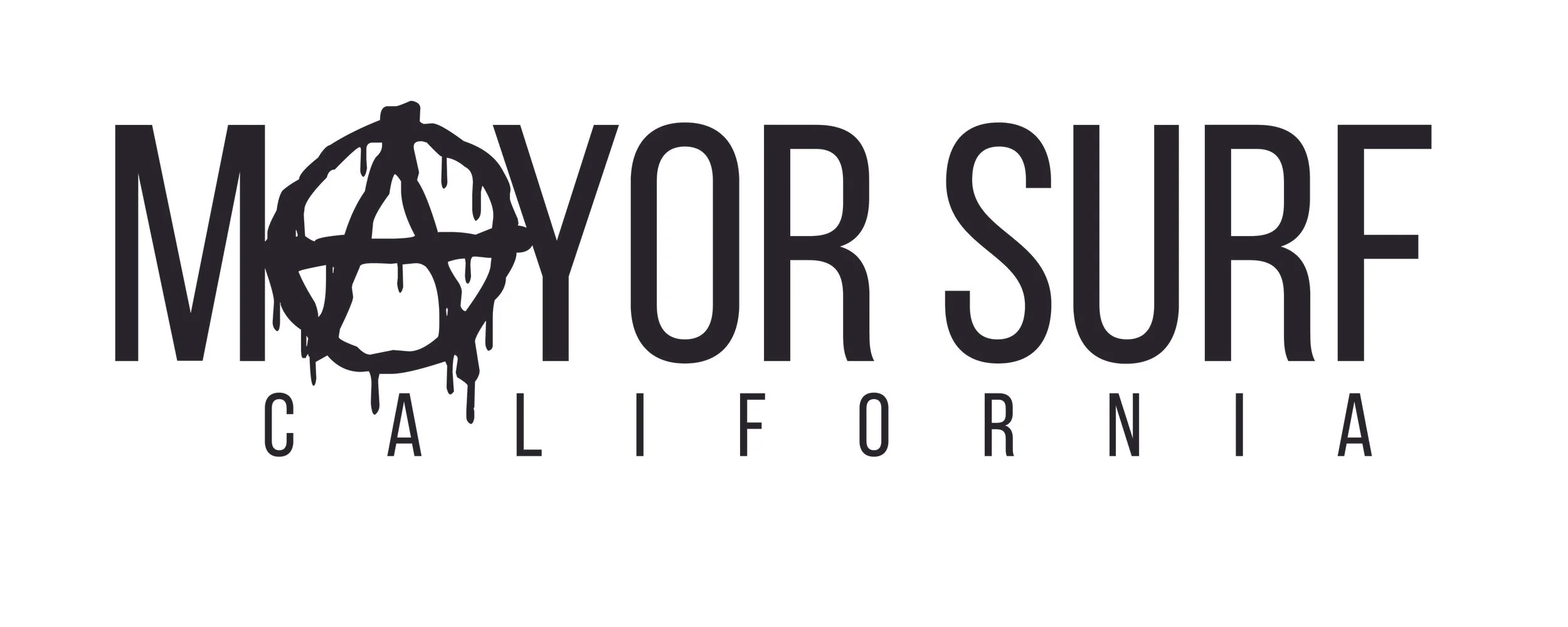 Mayor Anarchy punk-01.jpg