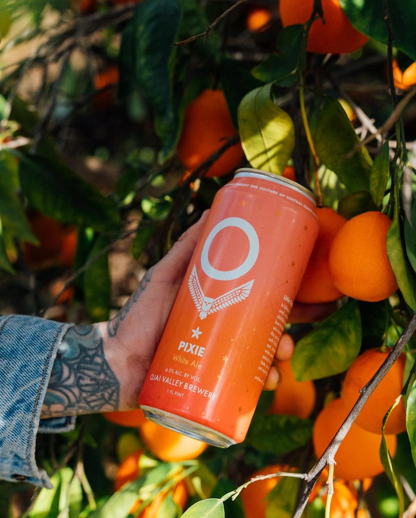 Capturing Ojai Spring in a Glass: The Story Behind Pixie White Ale