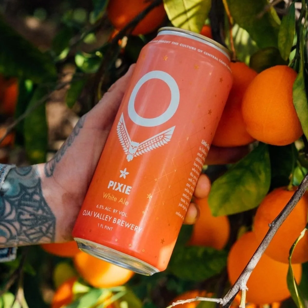 Pixie White Ale beer with oranges