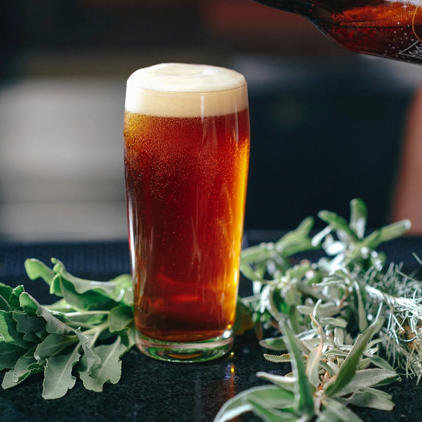 Chaparral Beer in Pint glass on bar with fresh sage