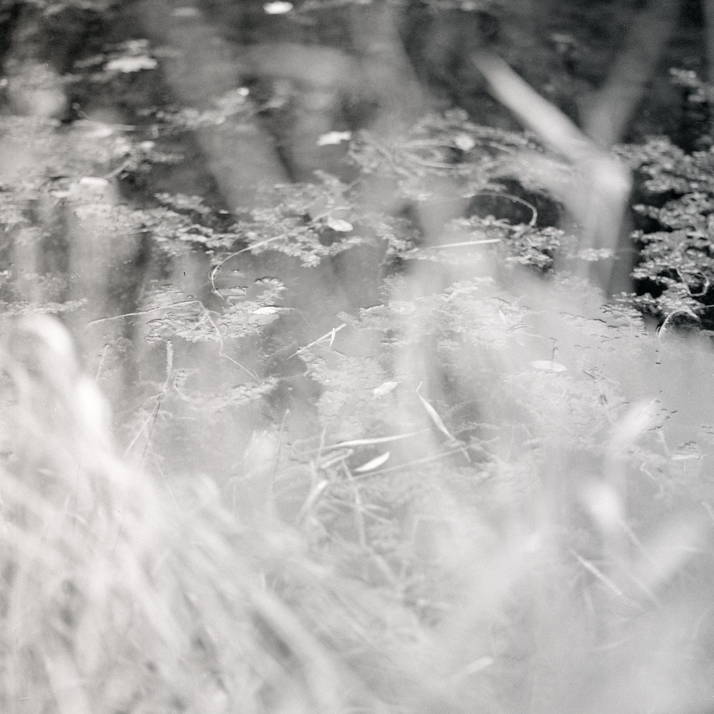 b&w4.jpg