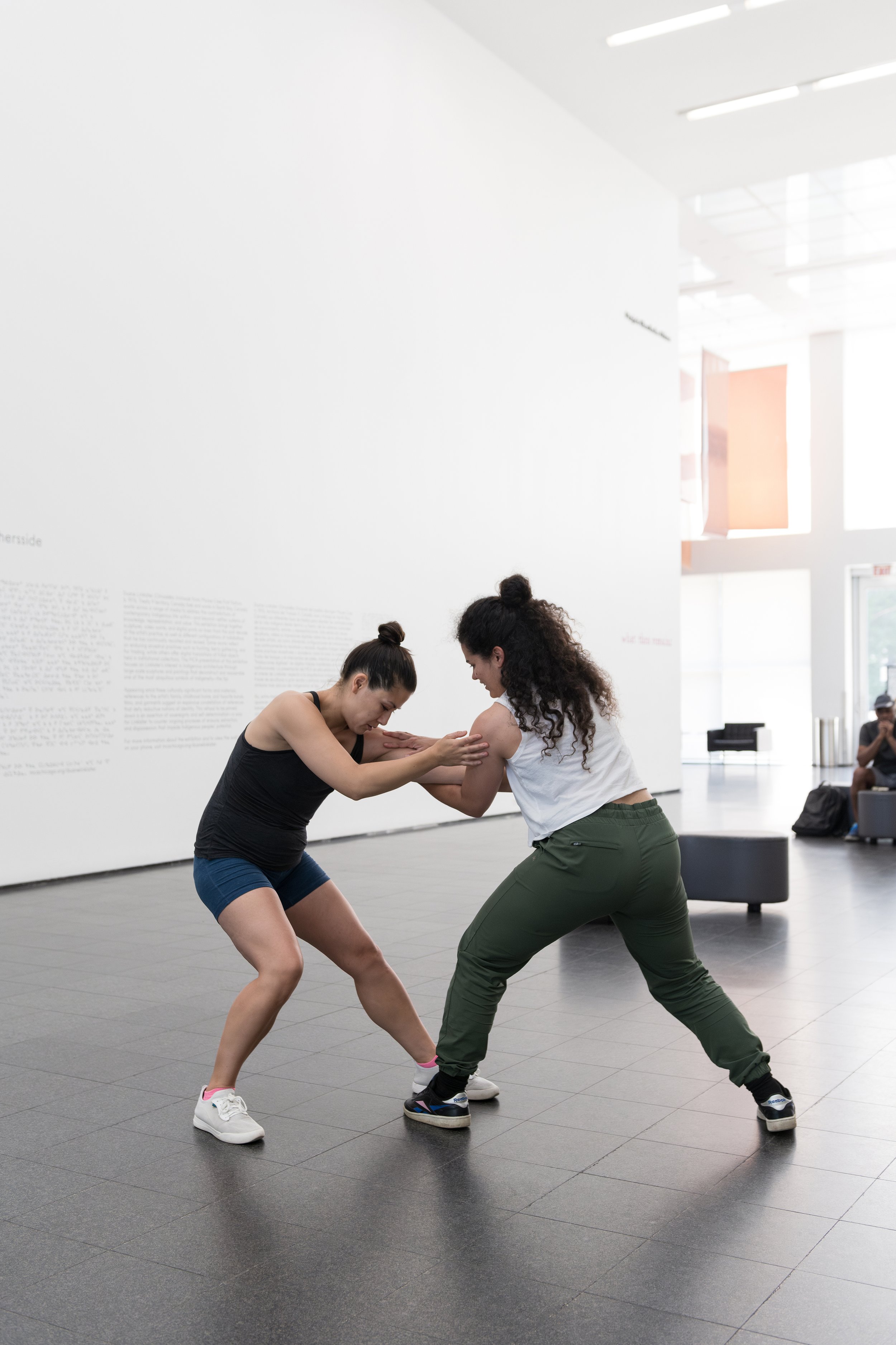 Tanya Lukin Linklater, Ewako ôma askiy. This then is the earth. July 25, 2023 - July 28, 2023, MCA Chicago.