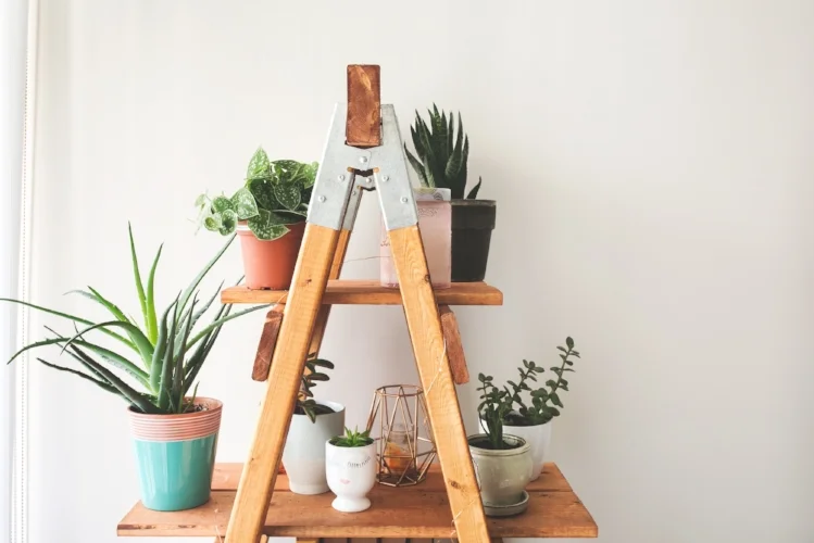 ladder-plant-shelf_4460x4460.jpg