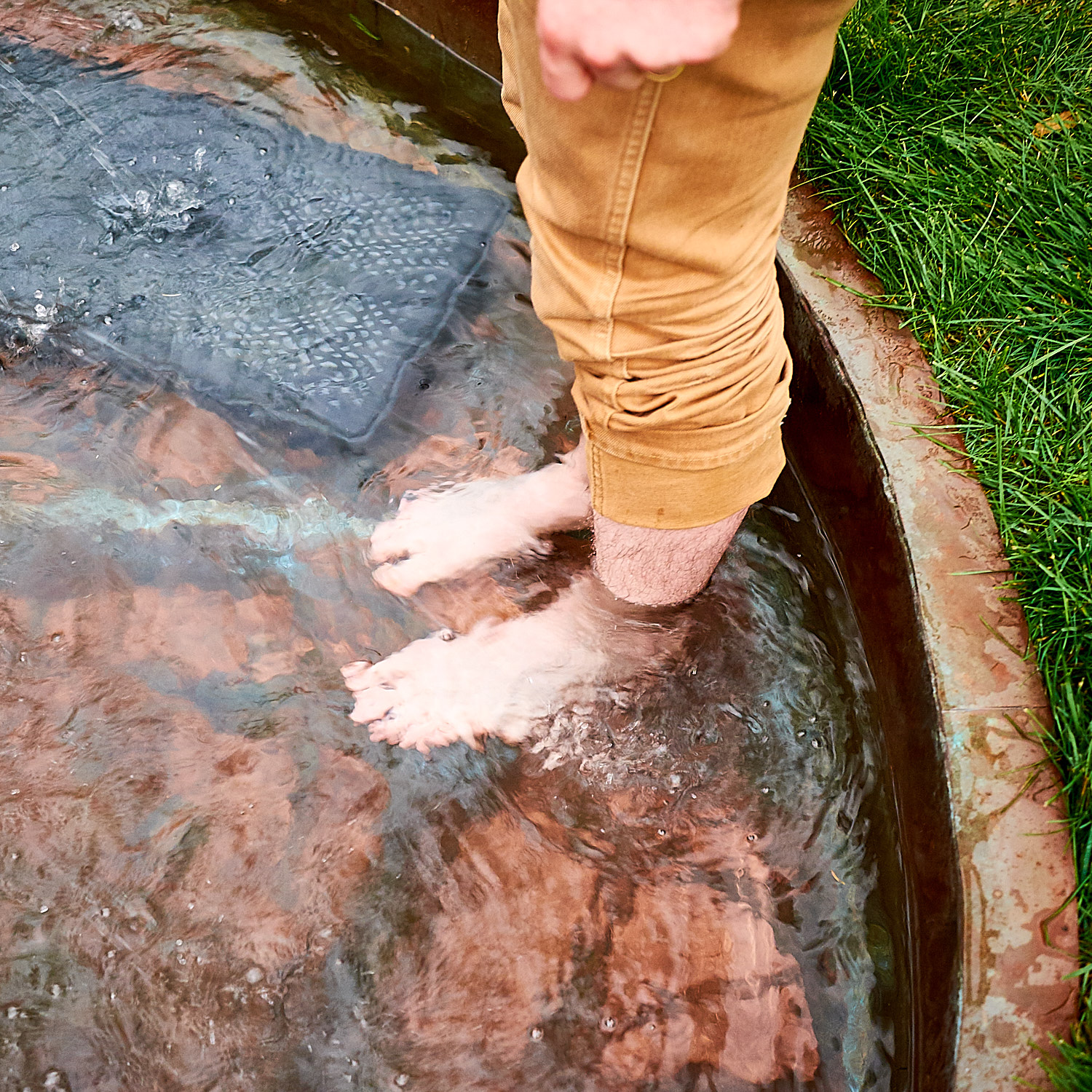 Person standing barefoot in shallow water, wearing rolled-up khaki pants, with grass and a brick edge visible.