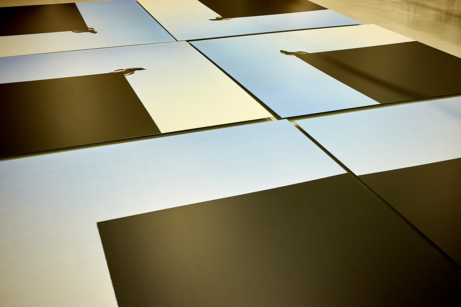 Art installation featuring multiple panels with minimalist design, showing black and blue rectangles, and a silhouette of a crow on a ledge.