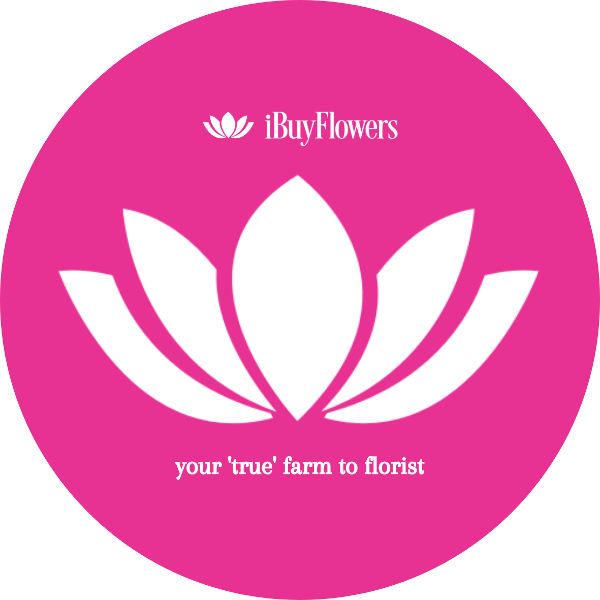 IBF logo.png