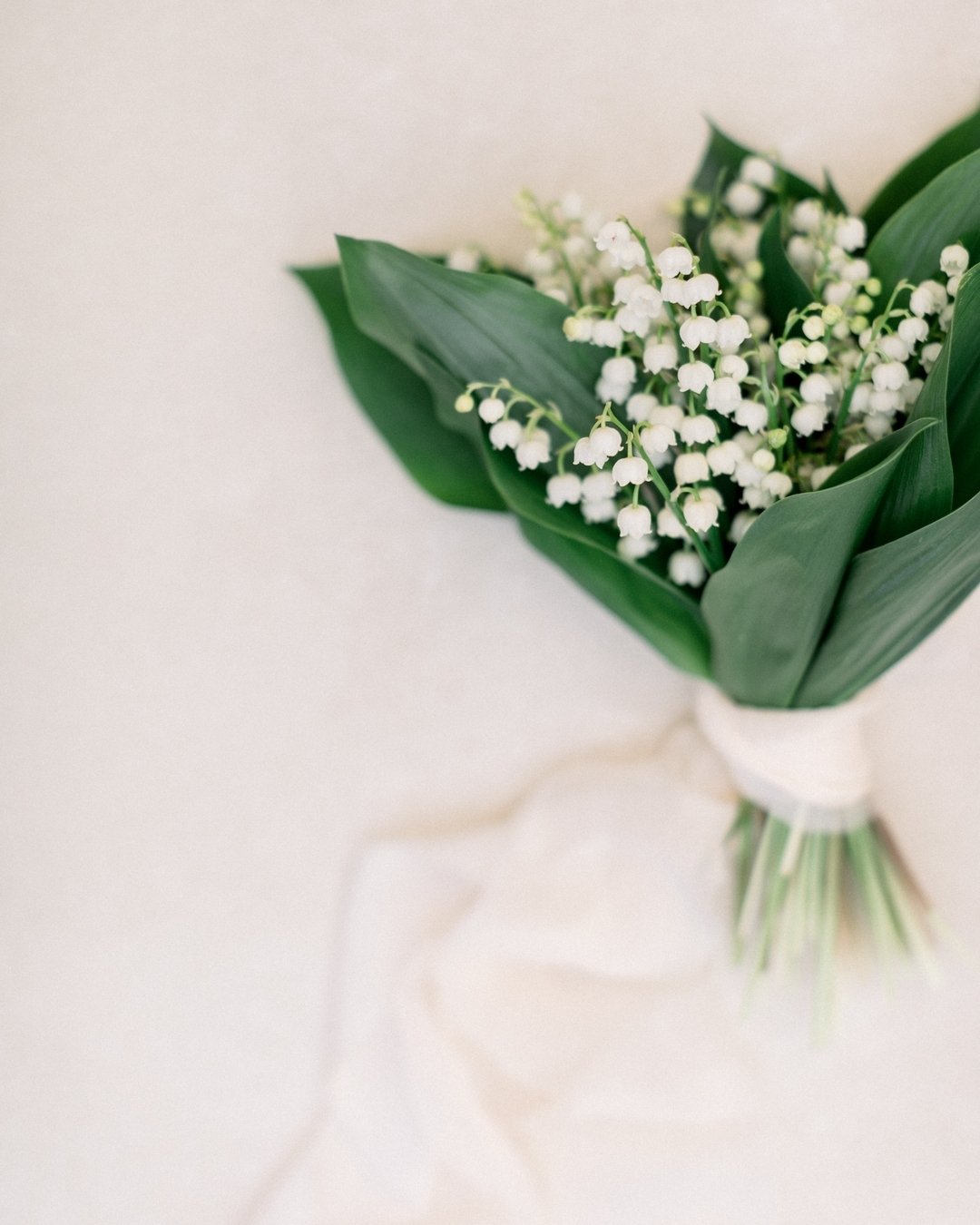 Scroll through for some Lily of the Valley inspiration. Lily of the Valley is a premium, luxury bloom. It smells heavenly, is very petite, and is in the shape of a perfect bell. We added some moss clusters to the table to really showcase it's beauty!