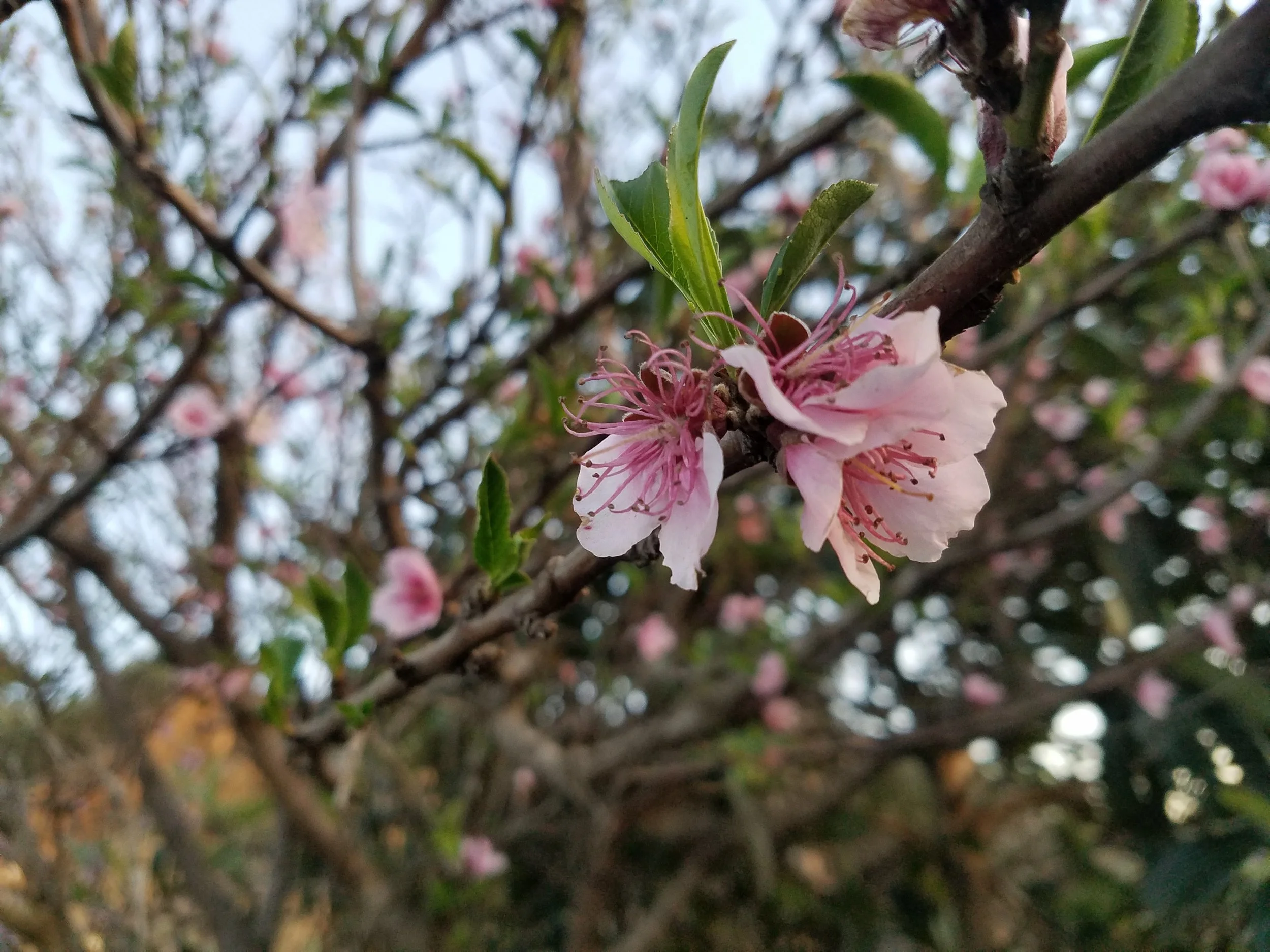 20170309_175903.jpg