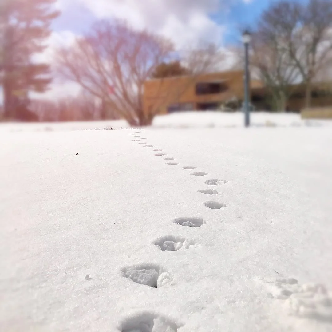 fairfieldu_18_3_2019_8_51_57_854.jpg