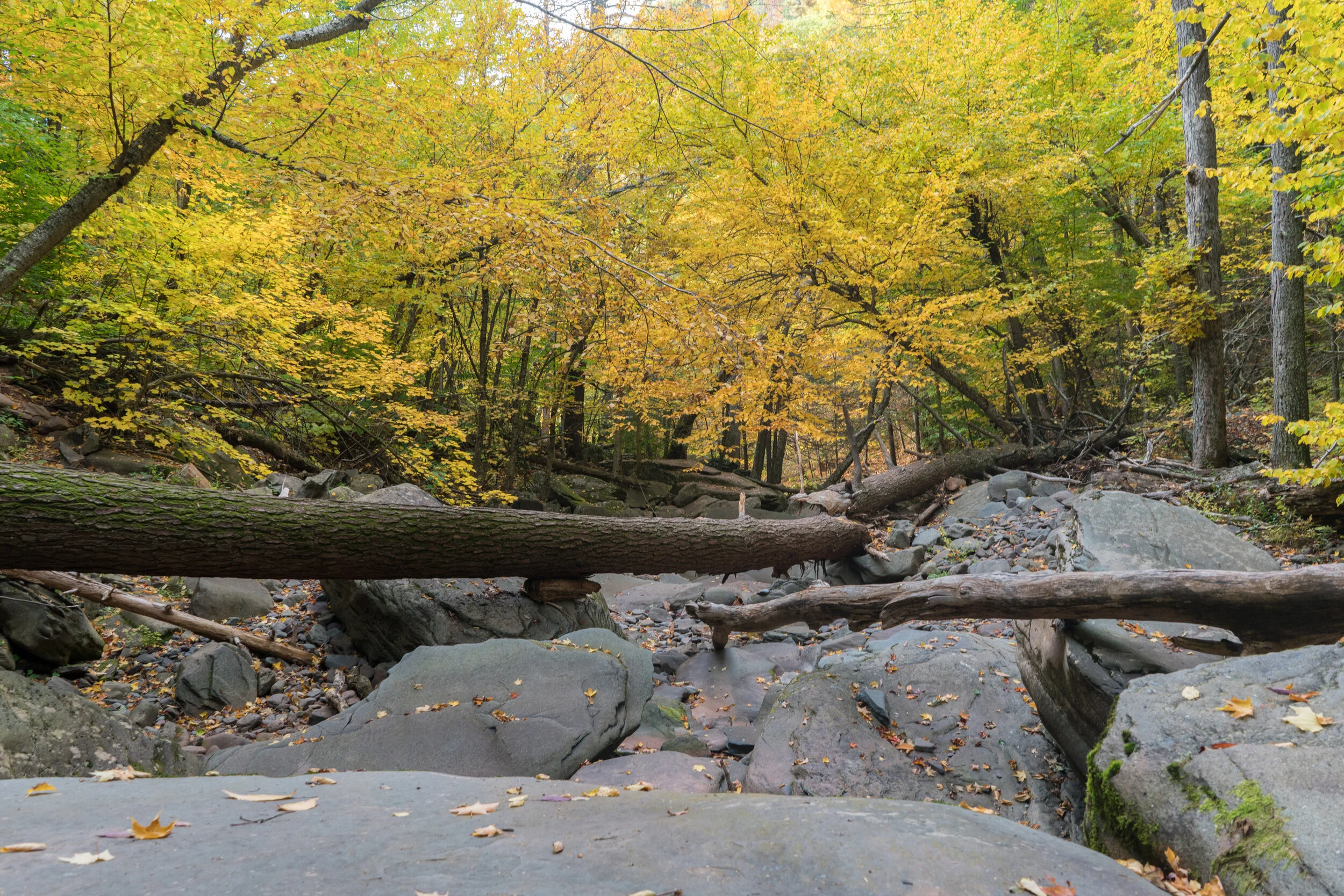 Fall-kaaterskill-Creek.JPG
