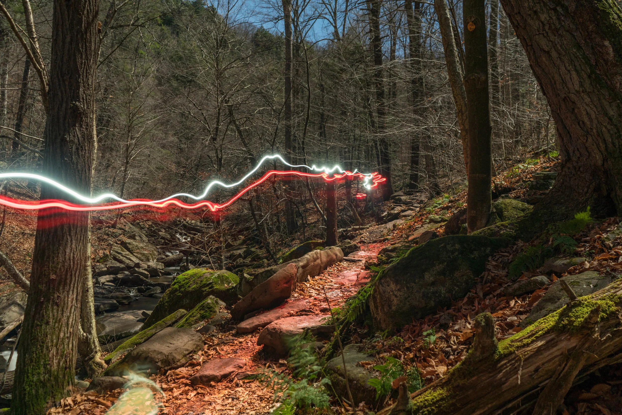 light-trails.JPG