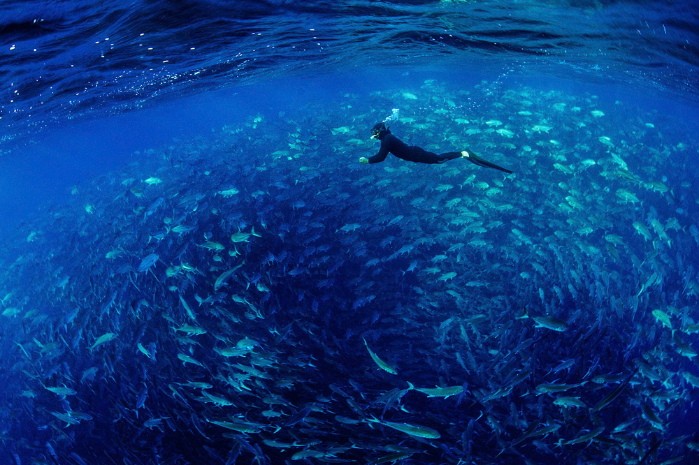 Photograph by Octavio Aburto/iLCP