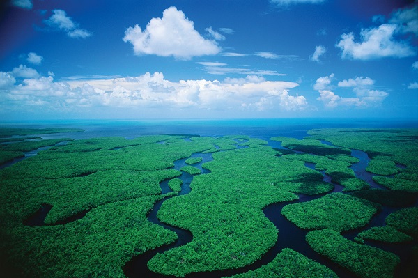 The Everglades National Park. Photo credit: National-Park.com