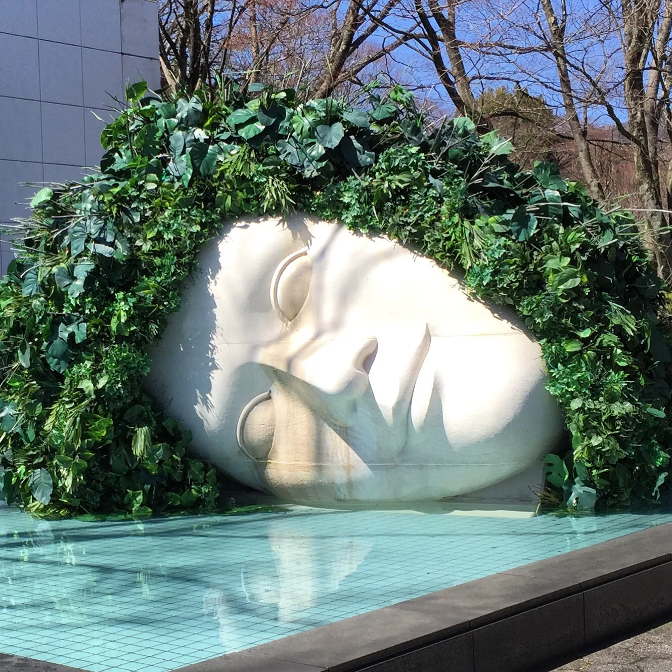 These images are taken in Hakone open air sculpture park