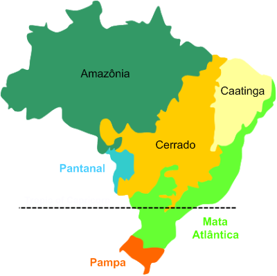 Biomes of Brazil. (Image by Brazil Travel - http://www.braziltourstravel.com/biomes.png, CC BY-SA 4.0, https://commons.wikimedia.org/w/index.php?curid=53887697 )