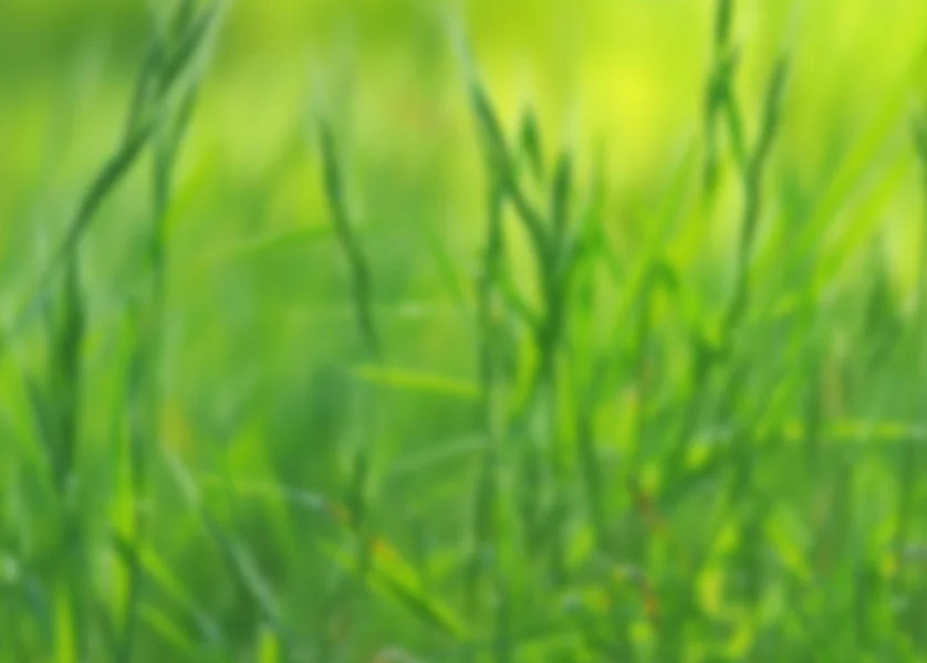 Bring to Life Your Journey with the Enneagram: Introducing the 27 Subtypes