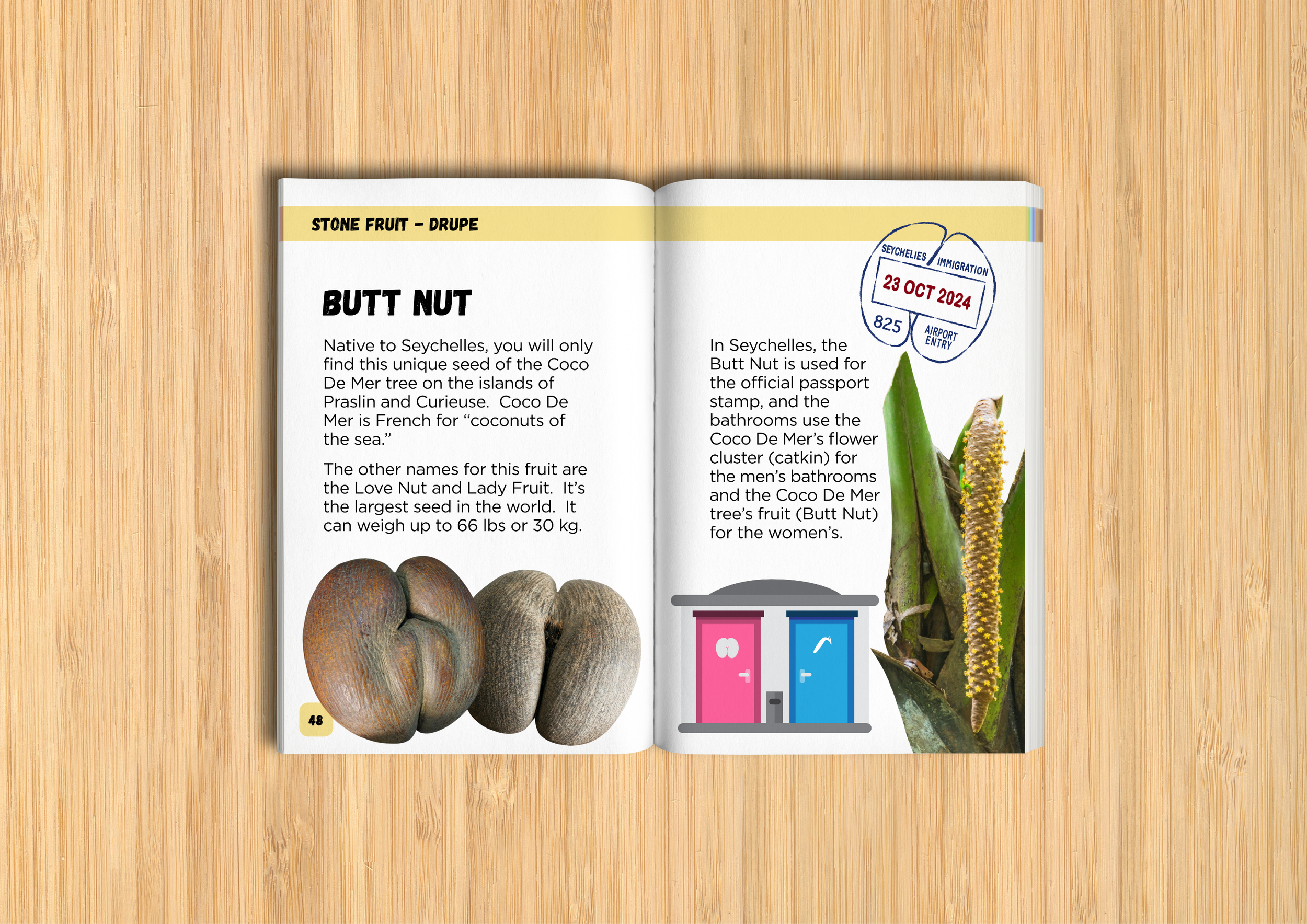 spread of butt nut chapter