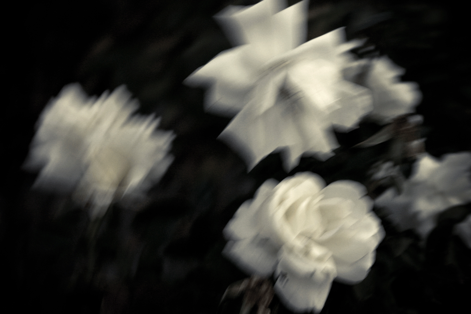 Flora 1