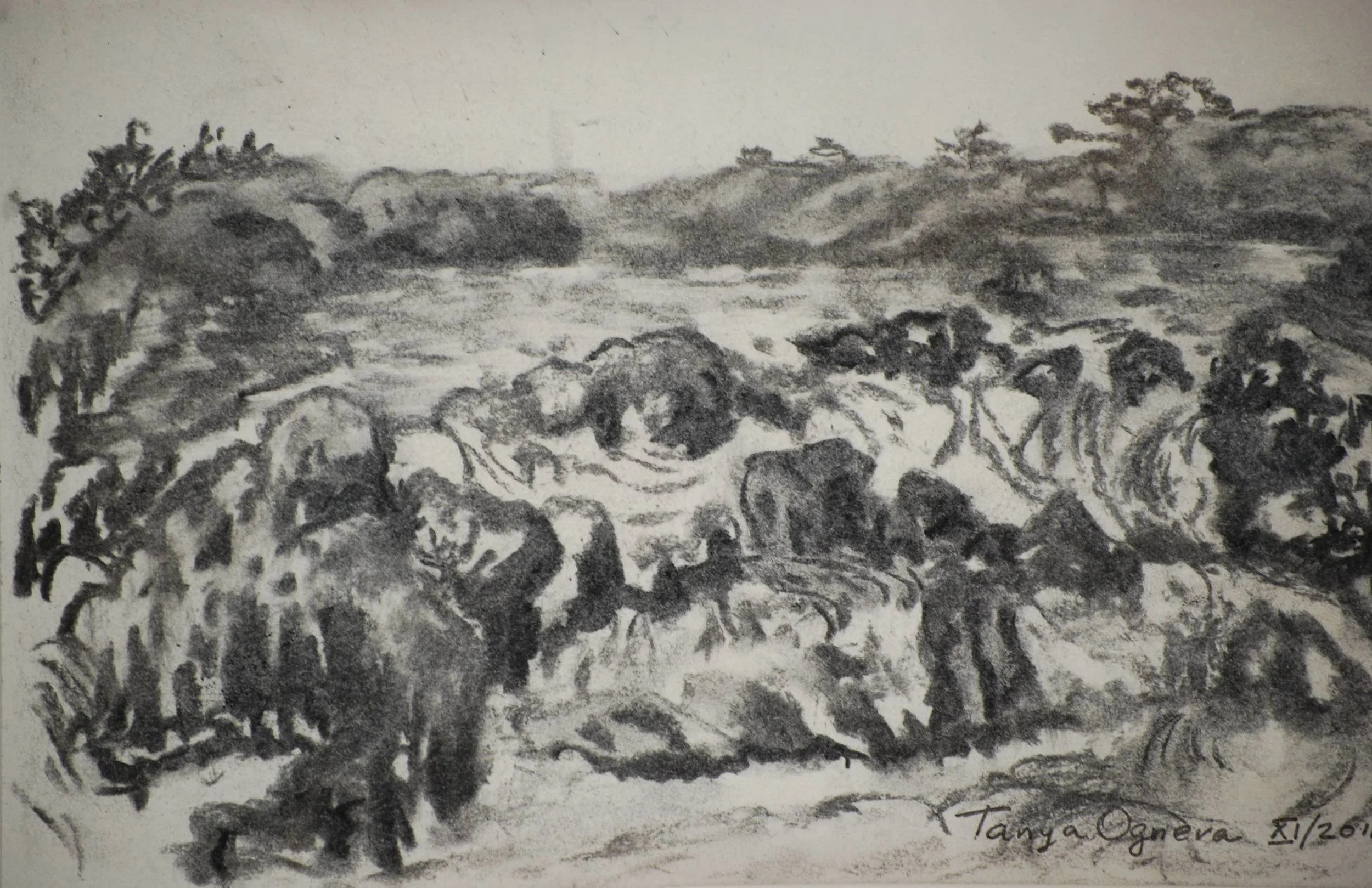 Great Falls. Black and White(charcoal on paper).JPG