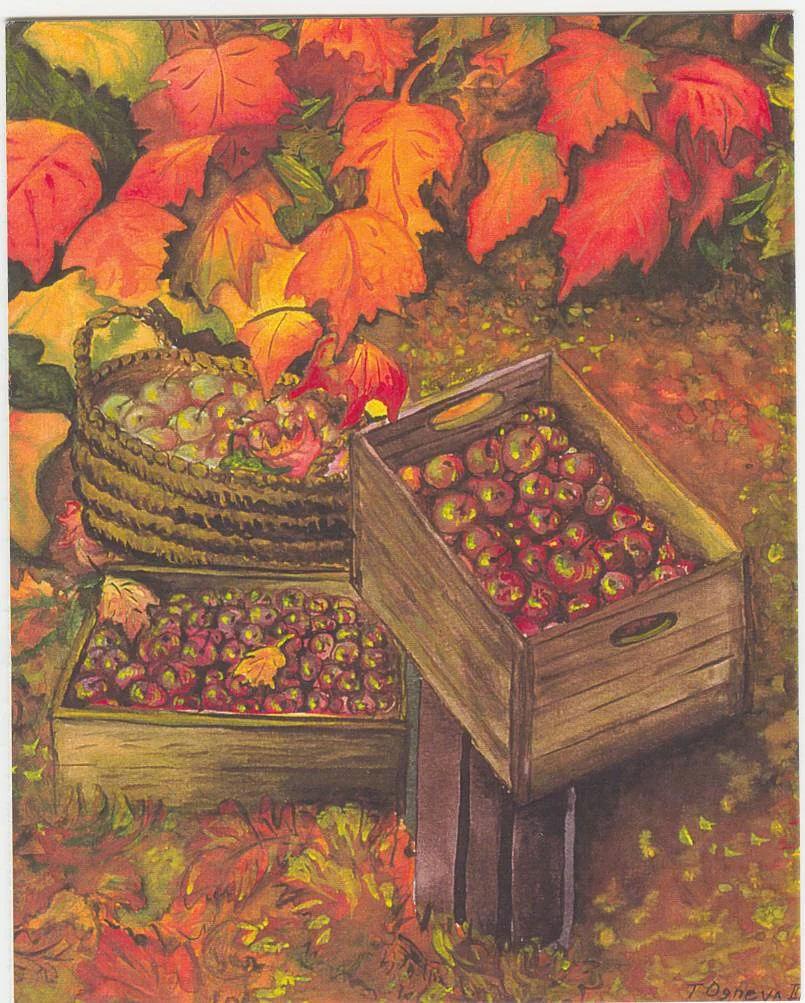 Harvest Time.jpg