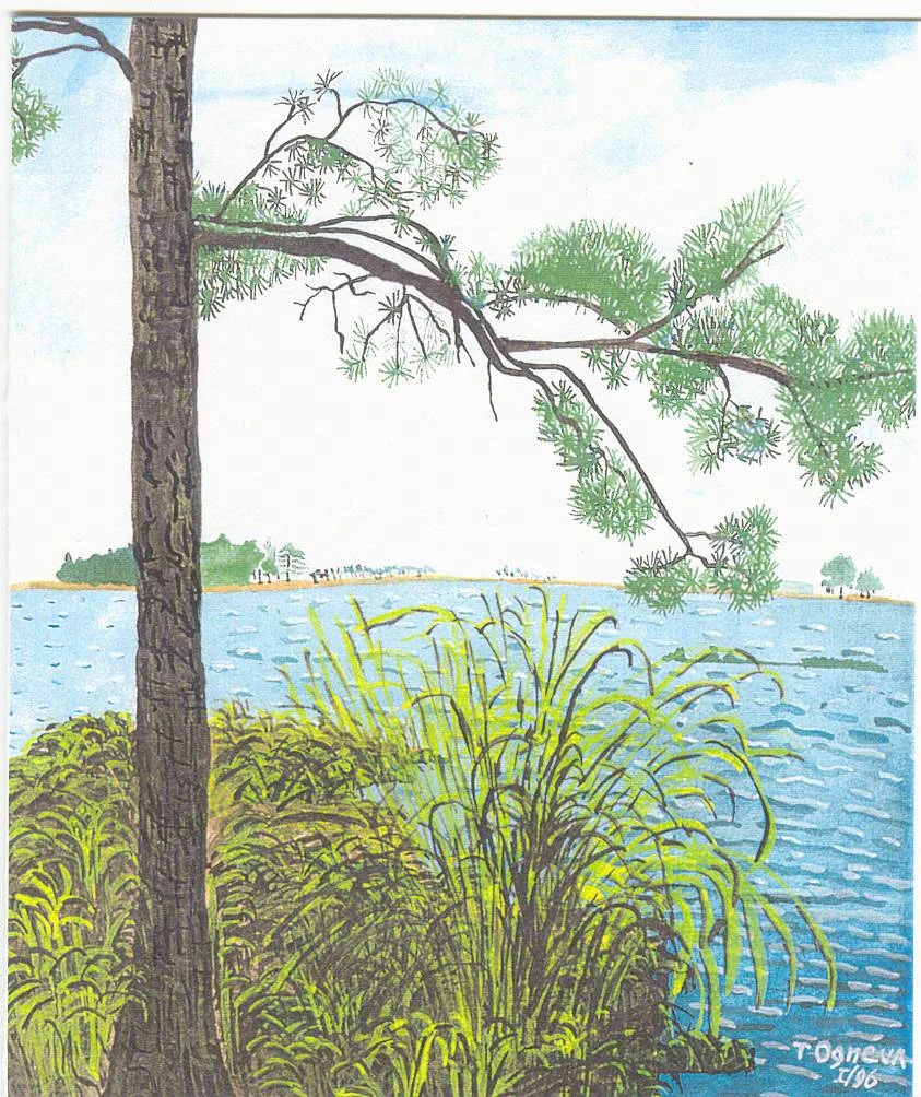Black_Water National Park.jpg