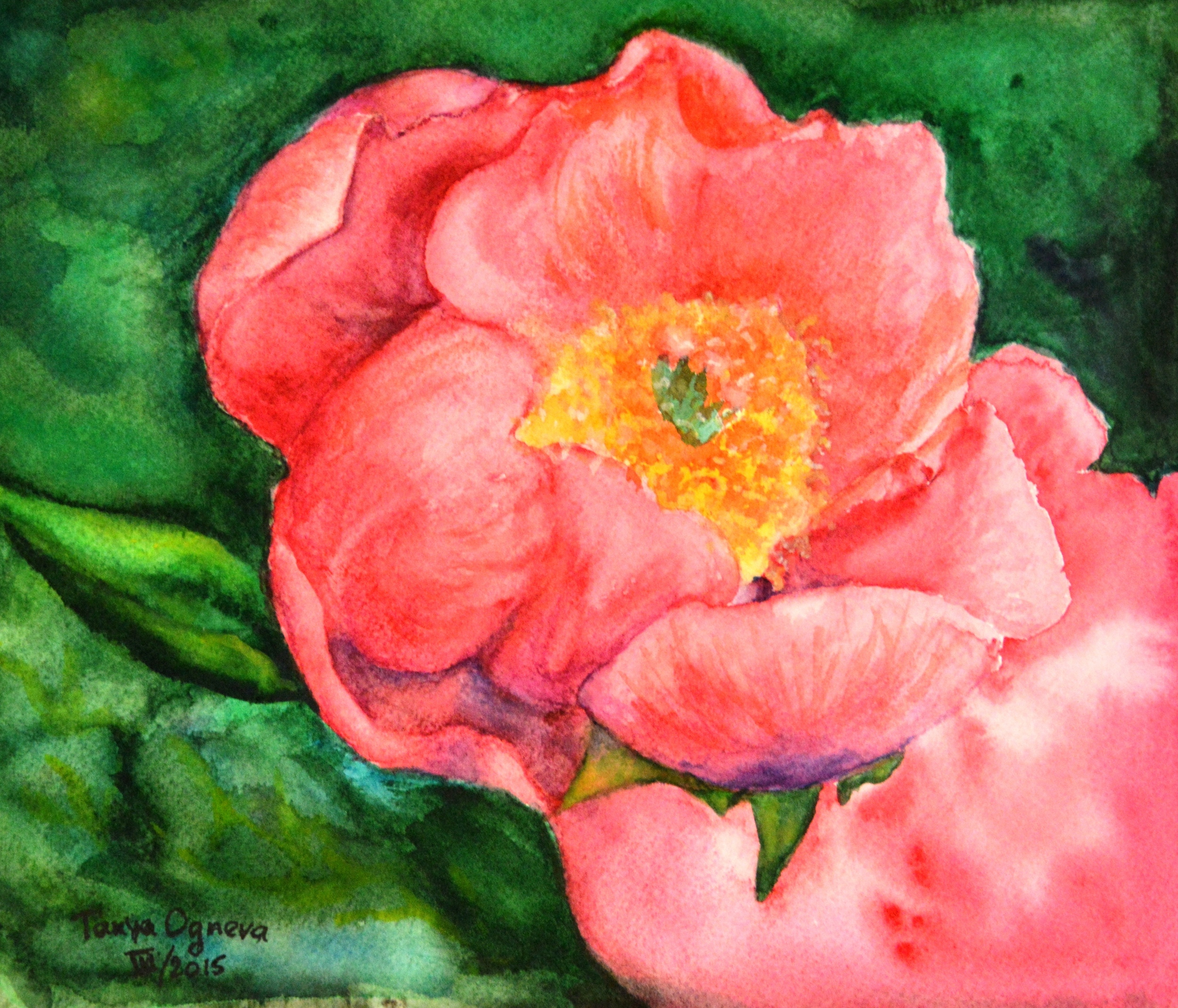 Waiting for Summer 1.JPG