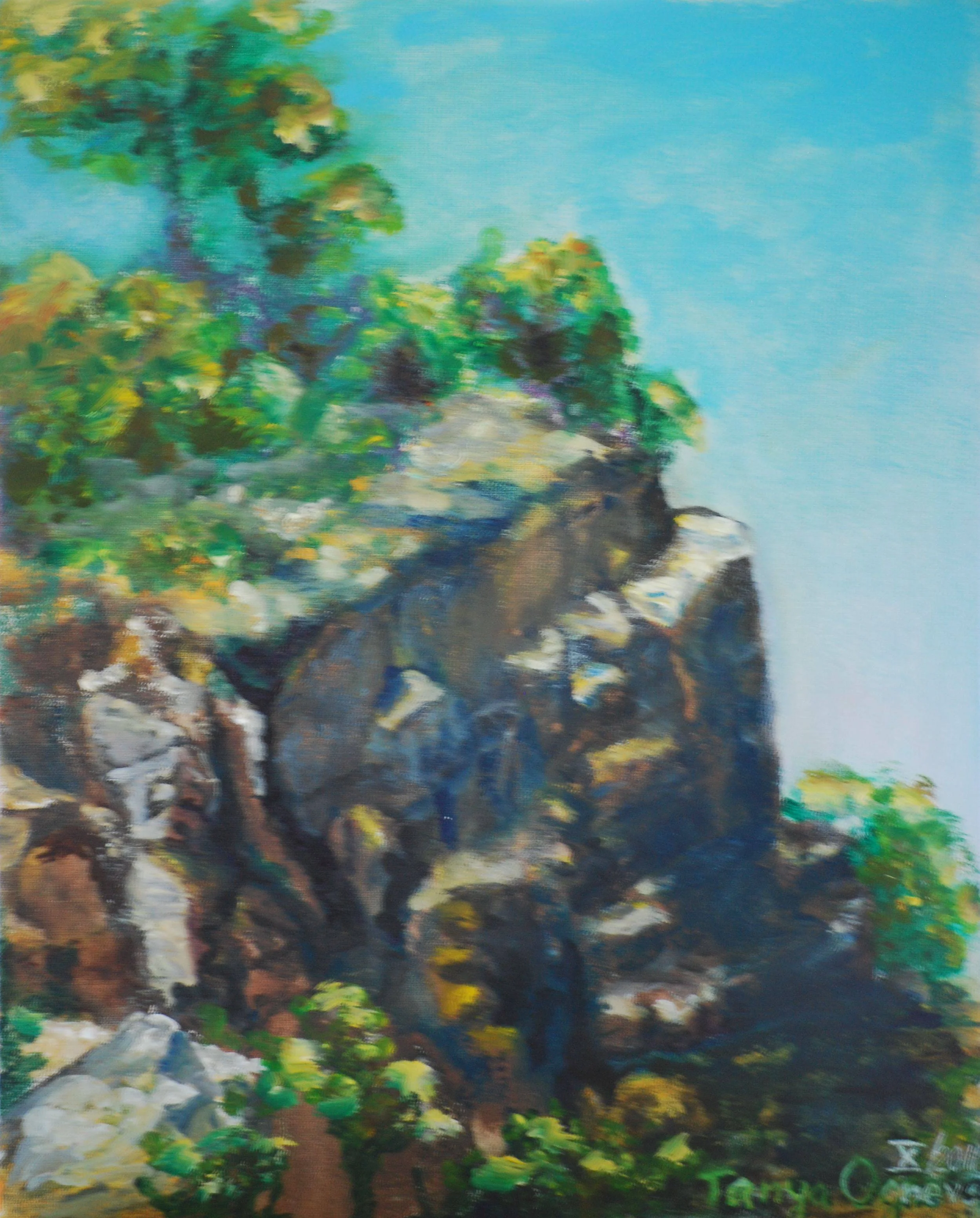 Great Falls. Acrylic